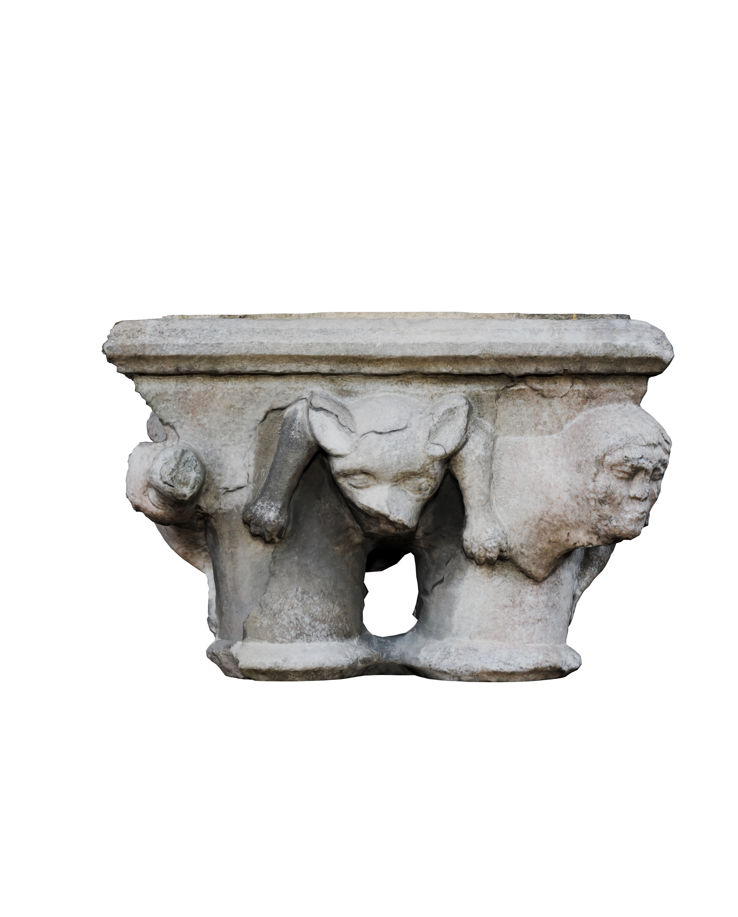 Image 13