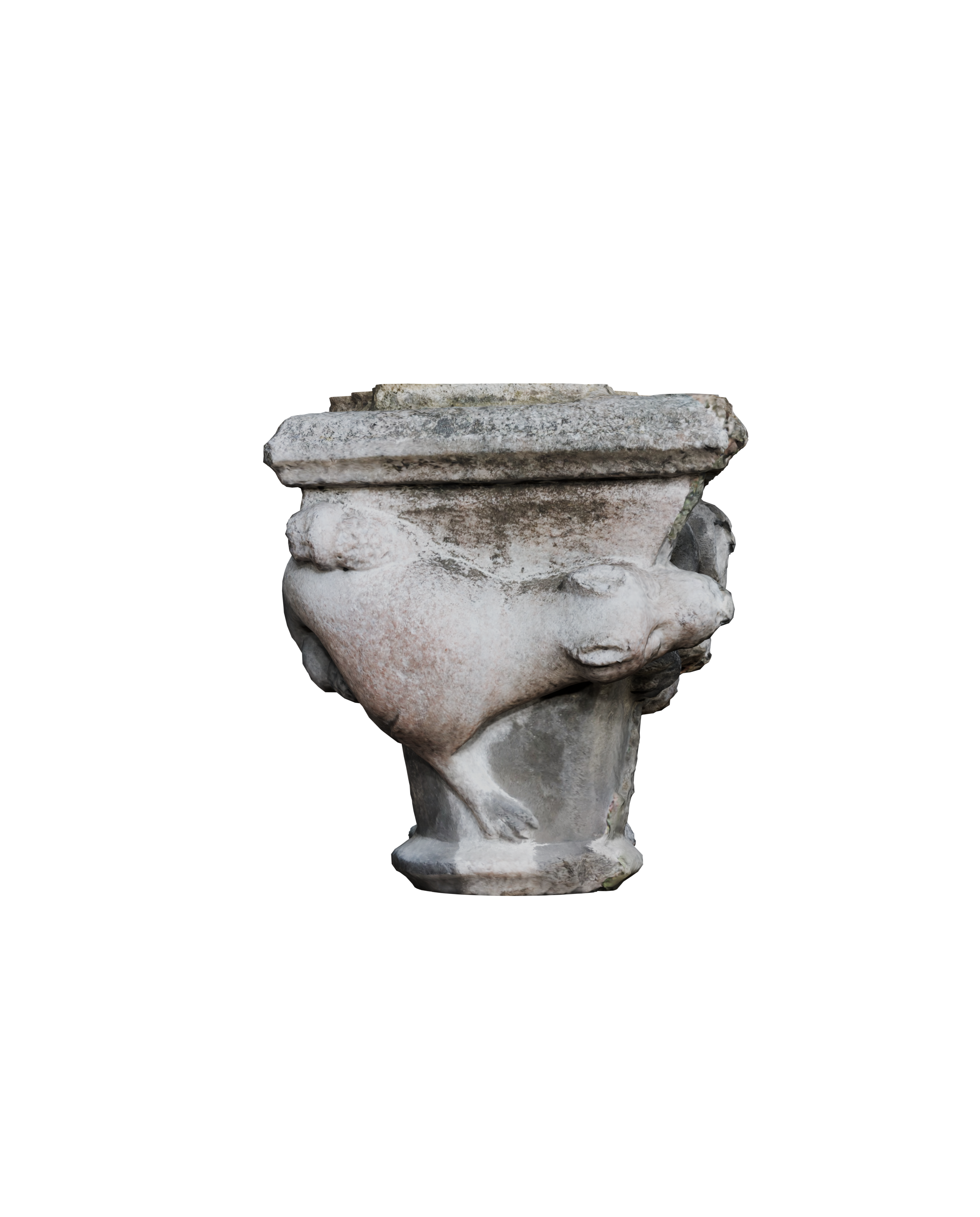 Image 15