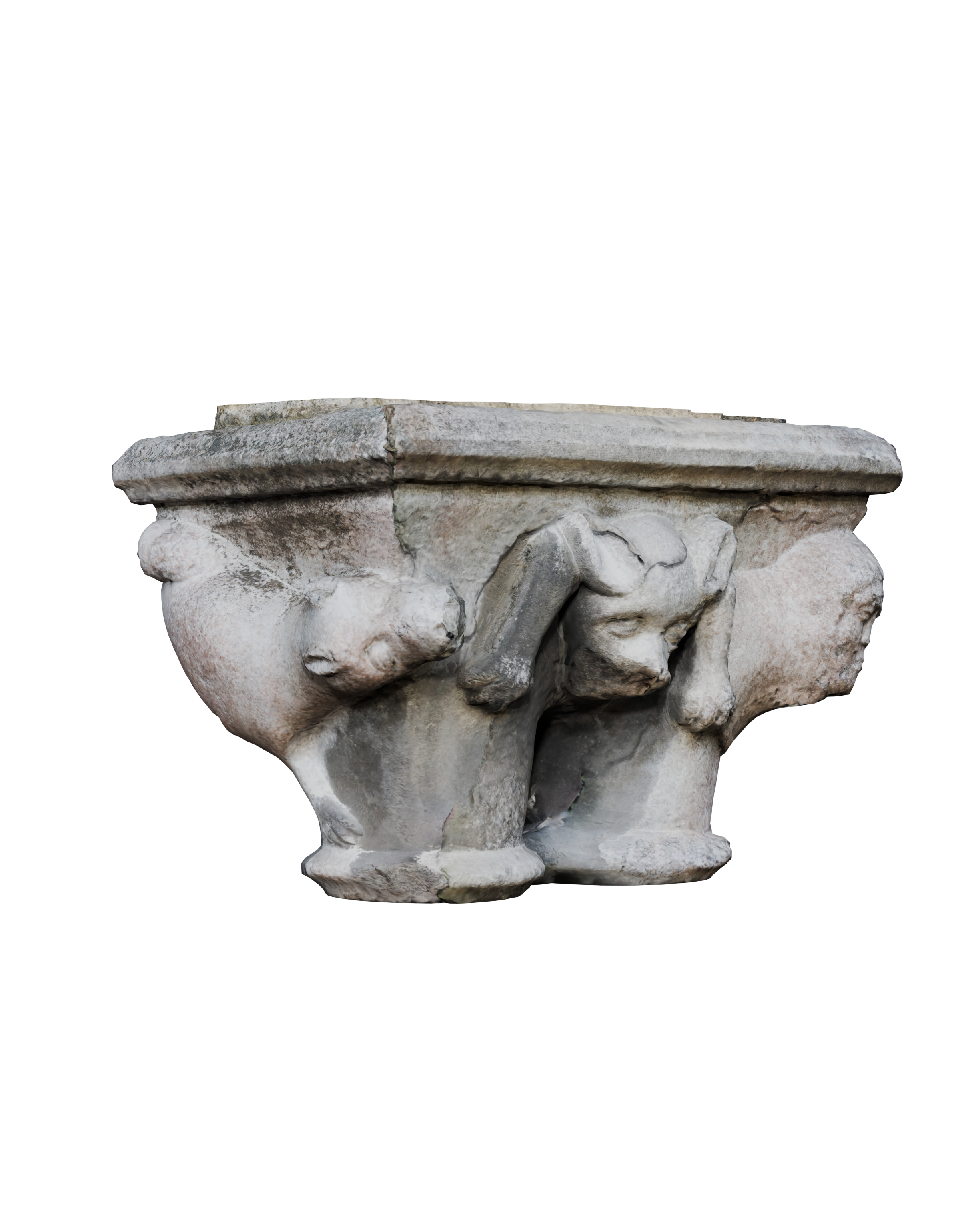 Image 14