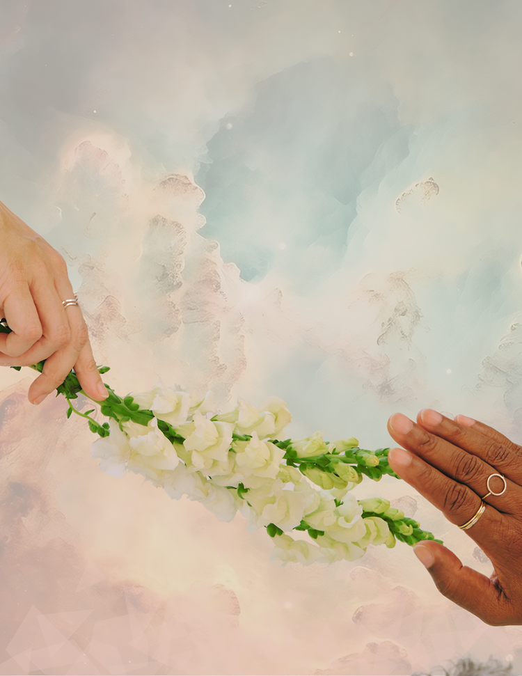 The Healing Partnership Path, the six-month journey with Jennie and Bo