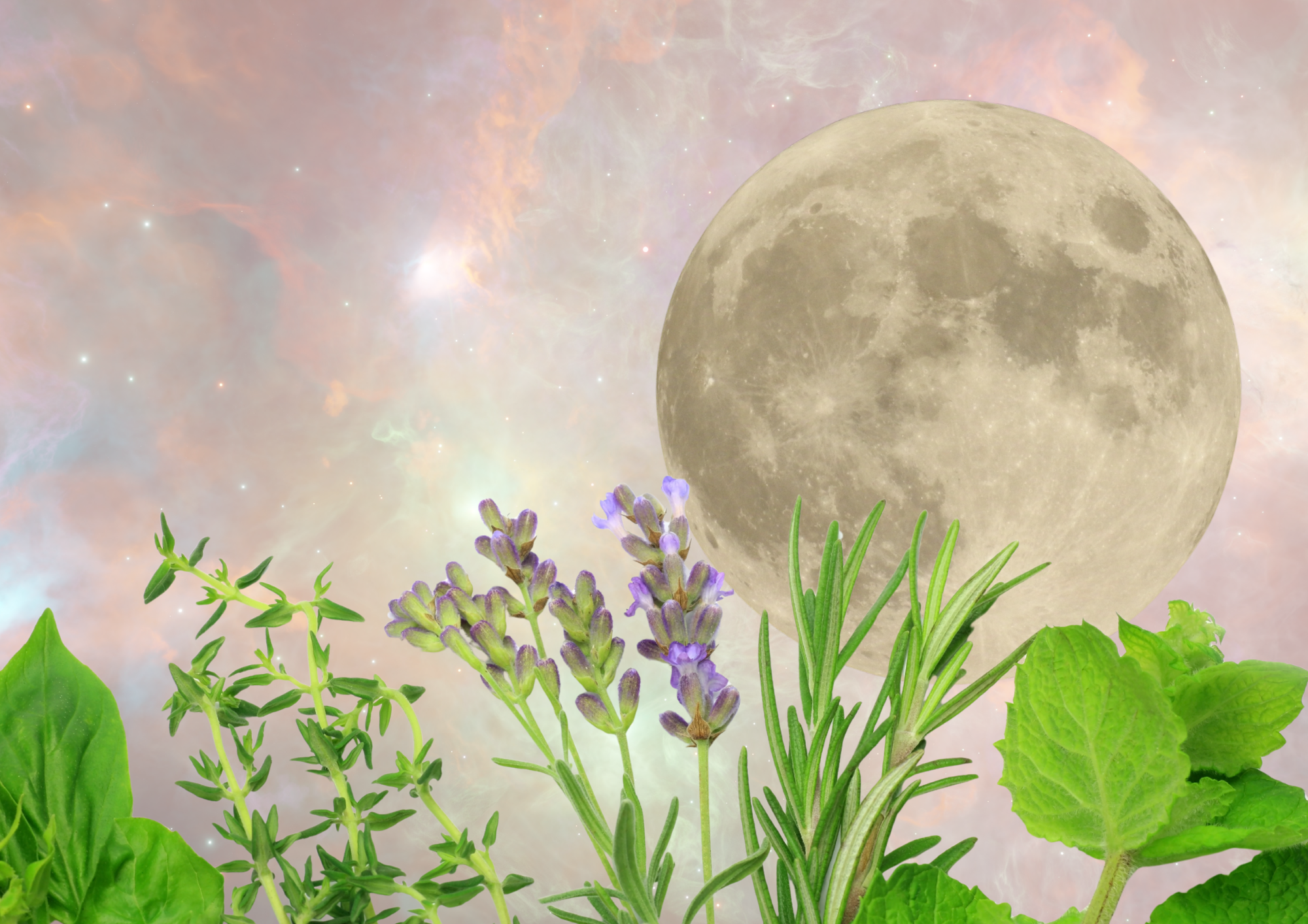 Biodynamic Calculator — plan your garden by the moon