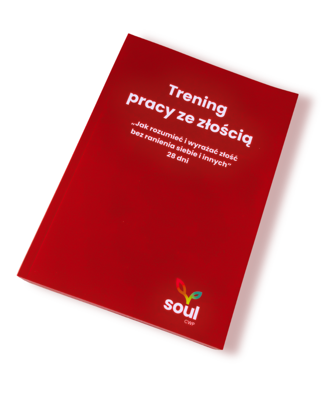 Notes Soul „Trening pracy ze złością