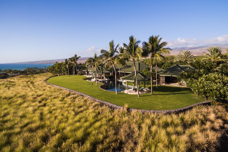 Coastal estate with palms, lawn and pool above the ocean