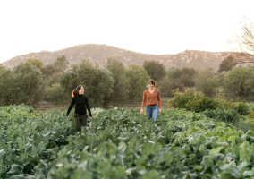 Rancho La Puerta Dining