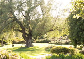 Rancho La Puerta Dining