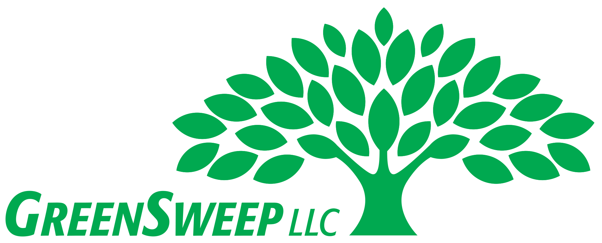 Silver Sponsor