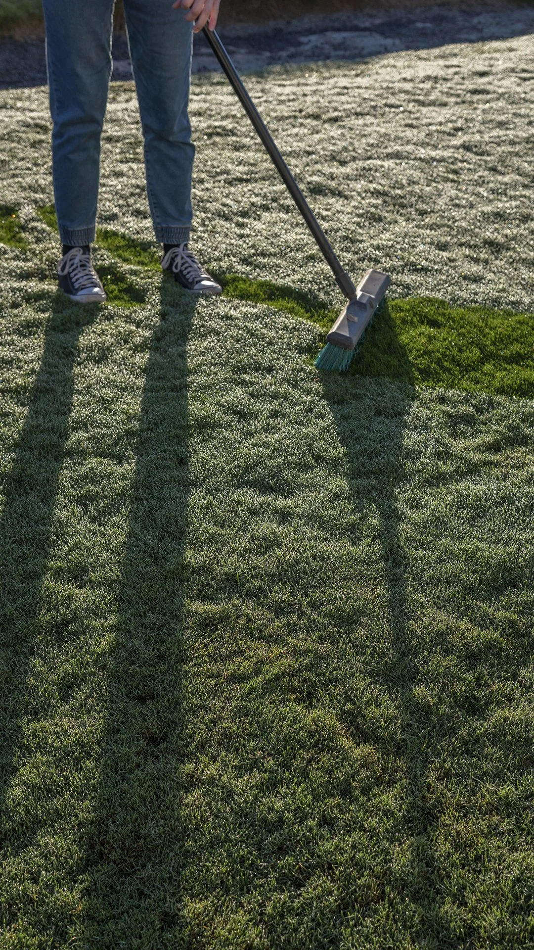 Winter lawn care Perth