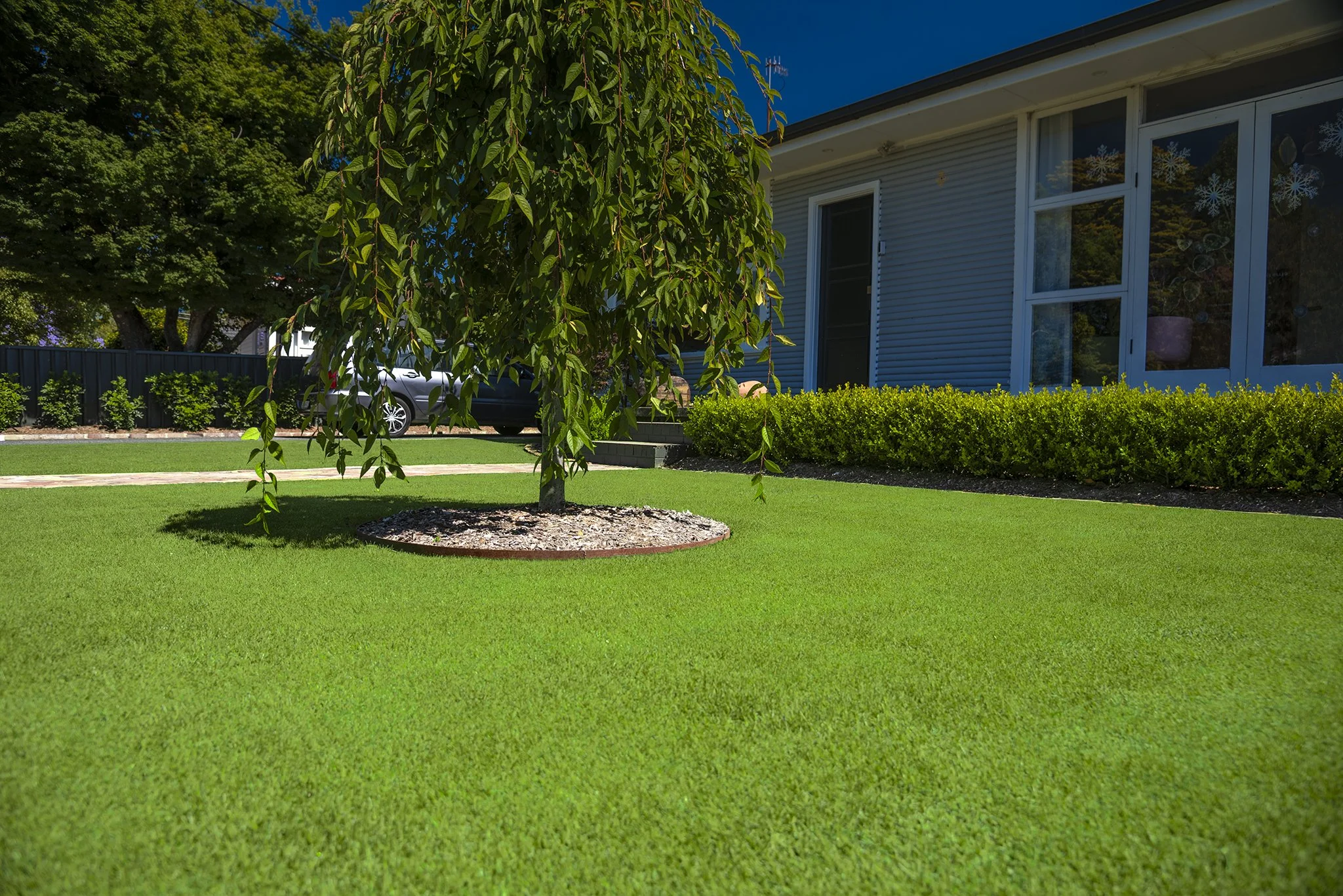 TifTuf hybrid couch turf Perth