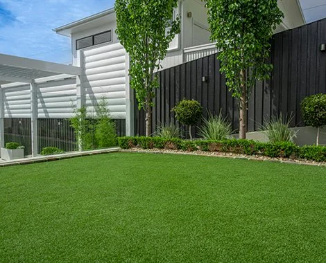Healthy Perth lawn recovery