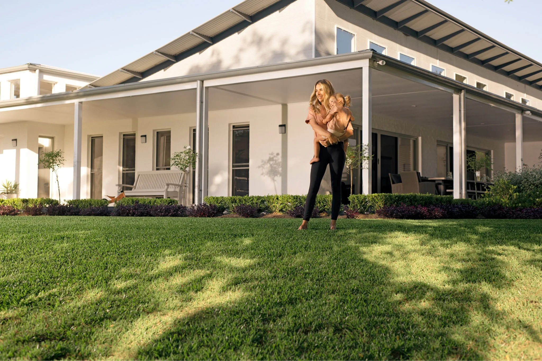 Sir Walter Buffalo turf Perth lawn