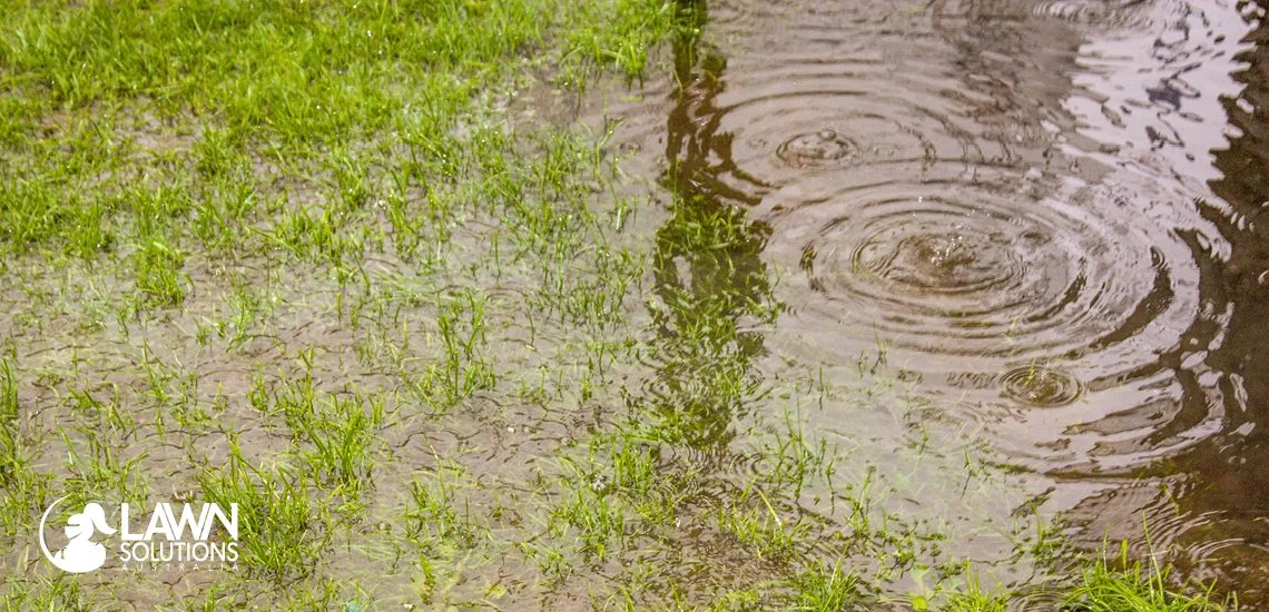 Waterlogged Perth lawn after heavy rainfall from Cyclone Narelle
