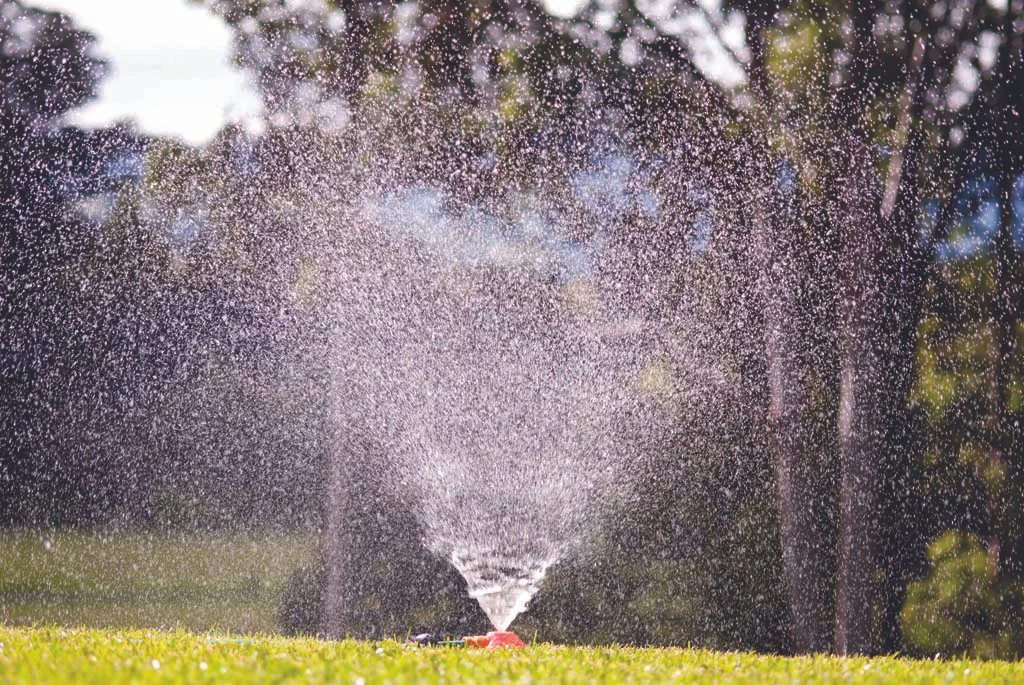 Lawn reticulation sprinkler Perth