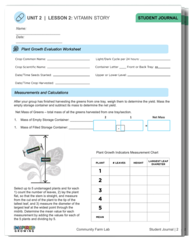 Curriculum Sample