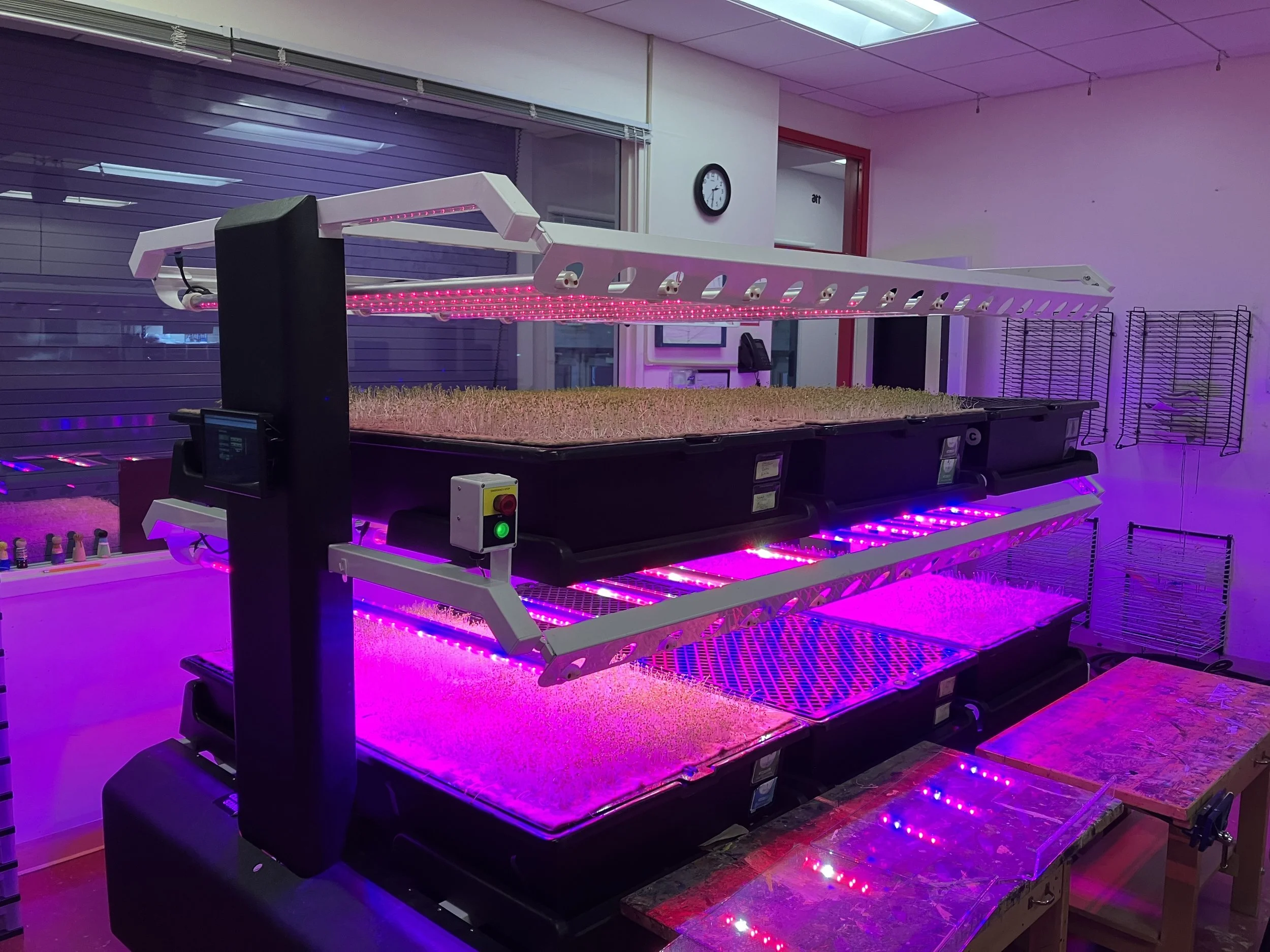 Living Light Laboratory