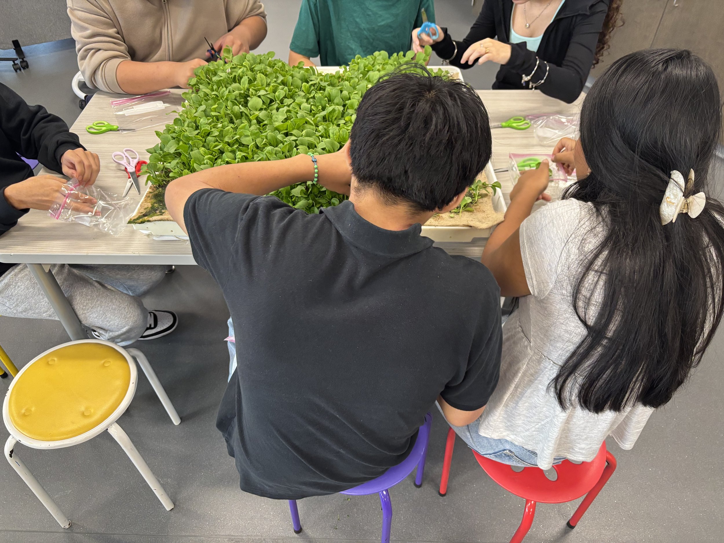 Students using the Inspired Growing farm