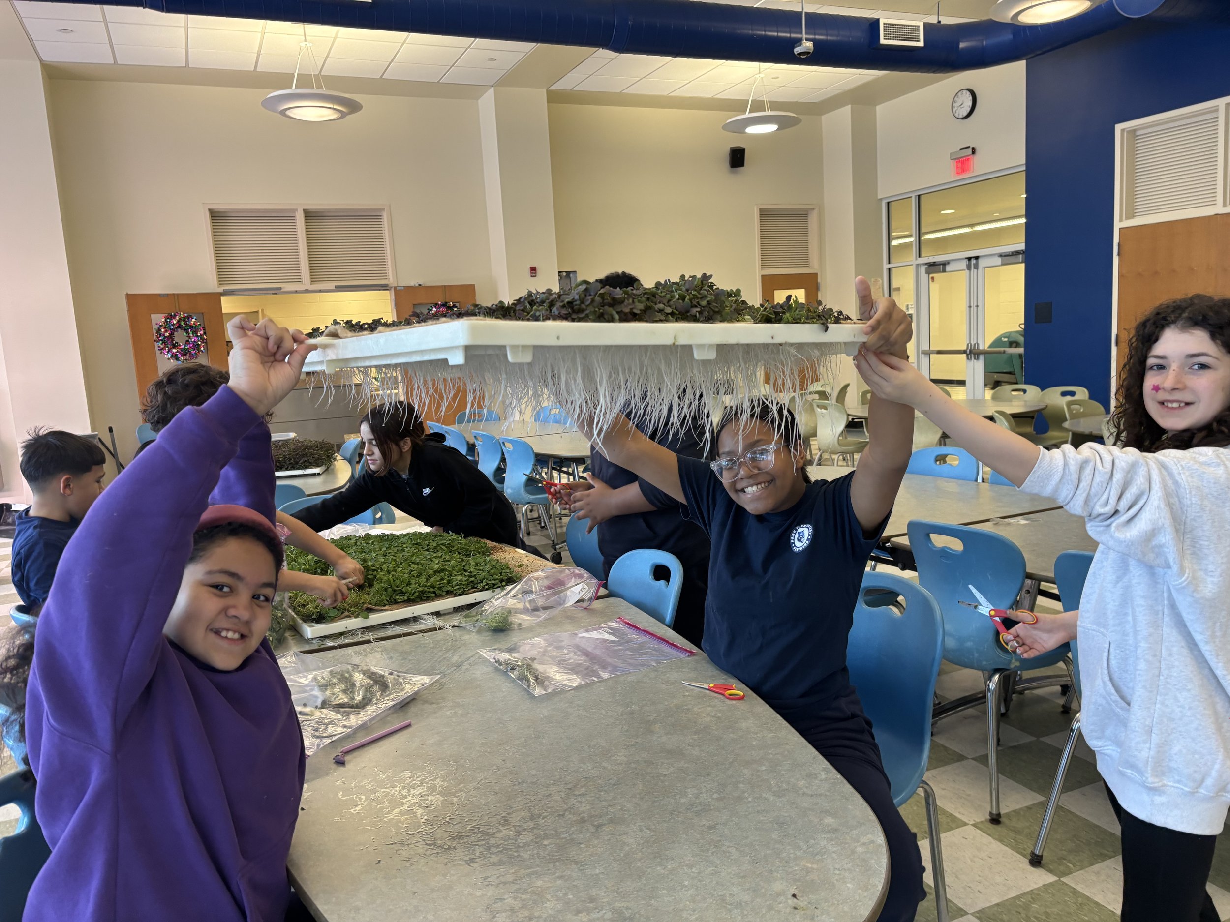 Students harvesting