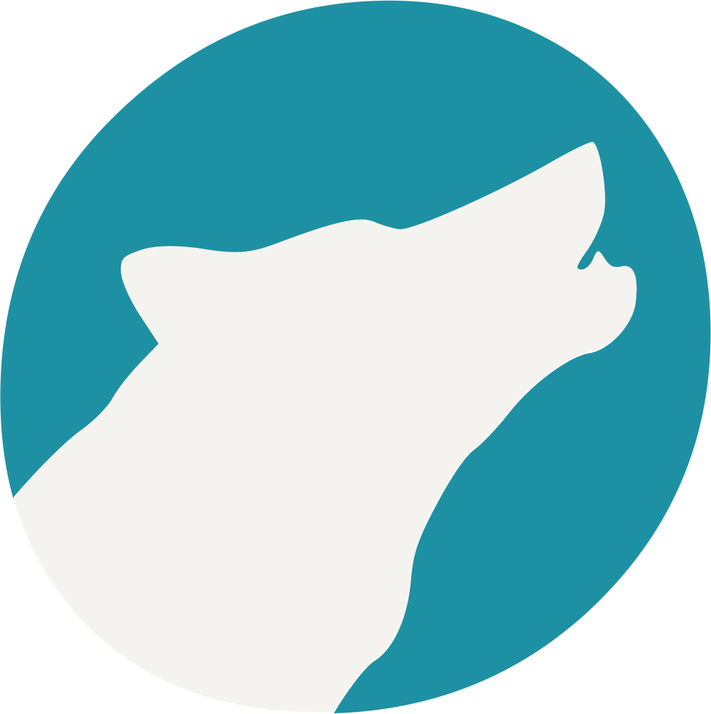 Digital Wolf Logo