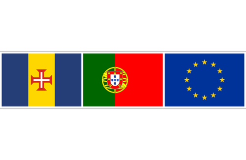 Madeira Is the World's Top Trending Destination for 2026 | Olá Madeira