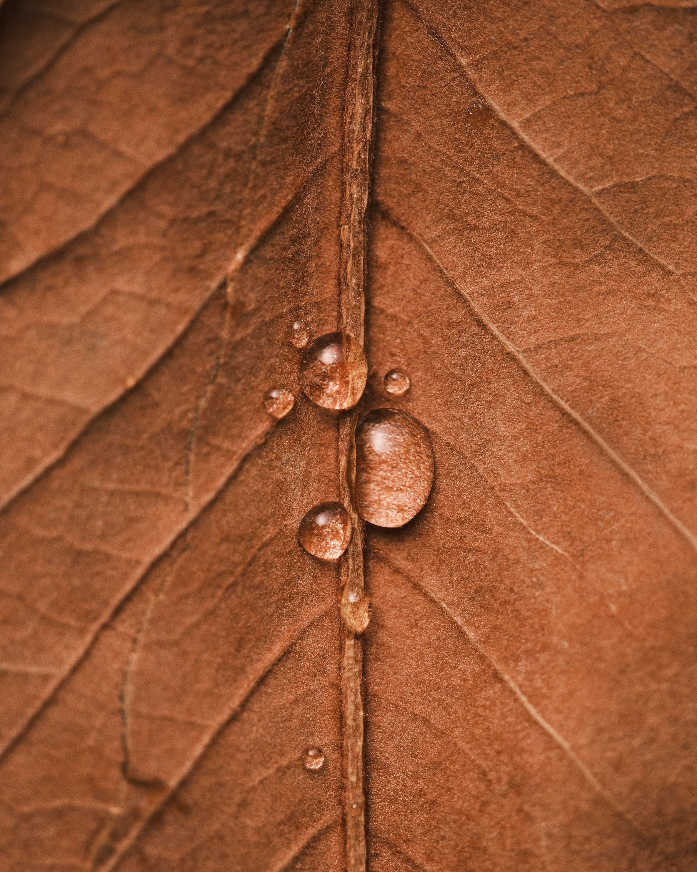 img-4