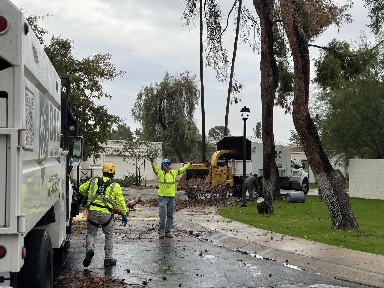 B&C crew, chipper, and service vehicles working in a residential street after tree damage