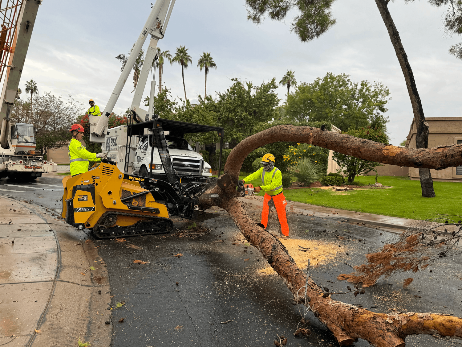 B&C crew and equipment working around a fallen tree in a residential street