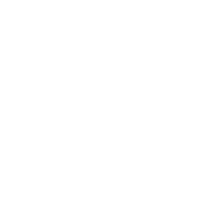 Allegiant Airlines
