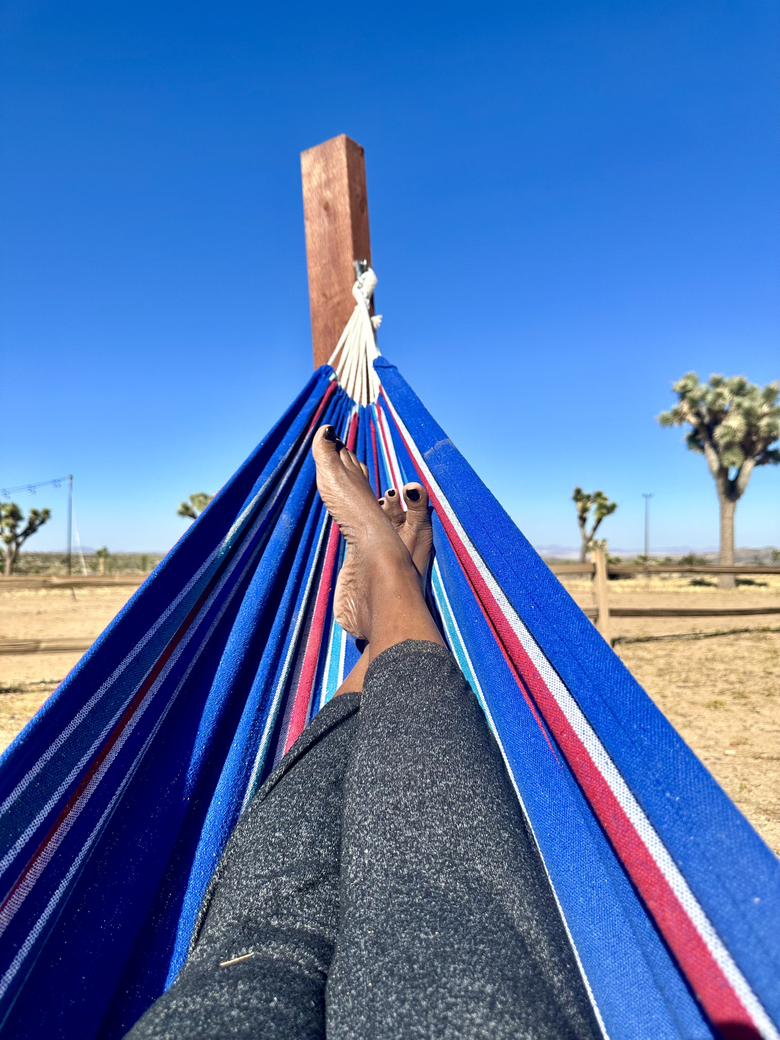 Relaxing in a hammock in Joshua Tree