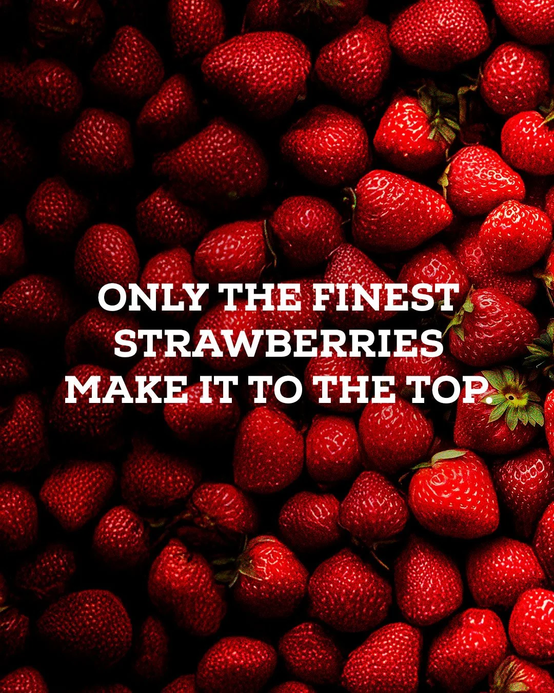 Only the finest strawberries make it to the top campaign headline over fresh strawberries.