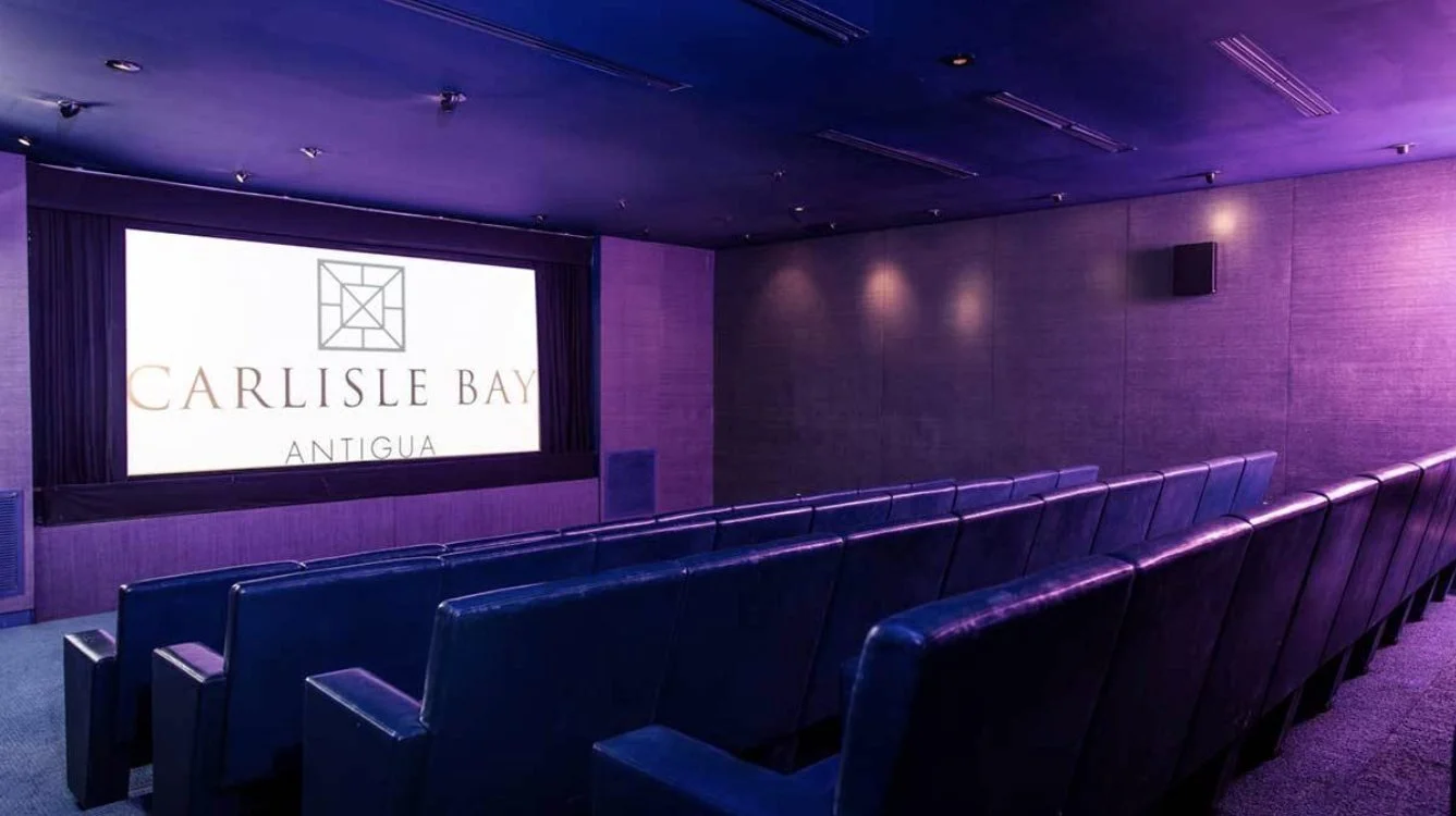The private screening room with blue leather seats