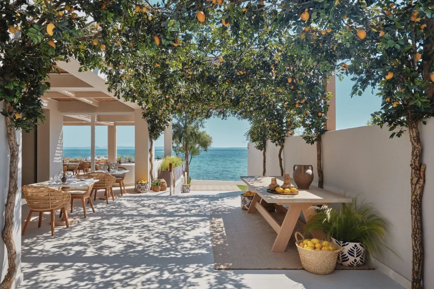 Tables under a canopy of lemon trees at Fresco, with the sea beyond