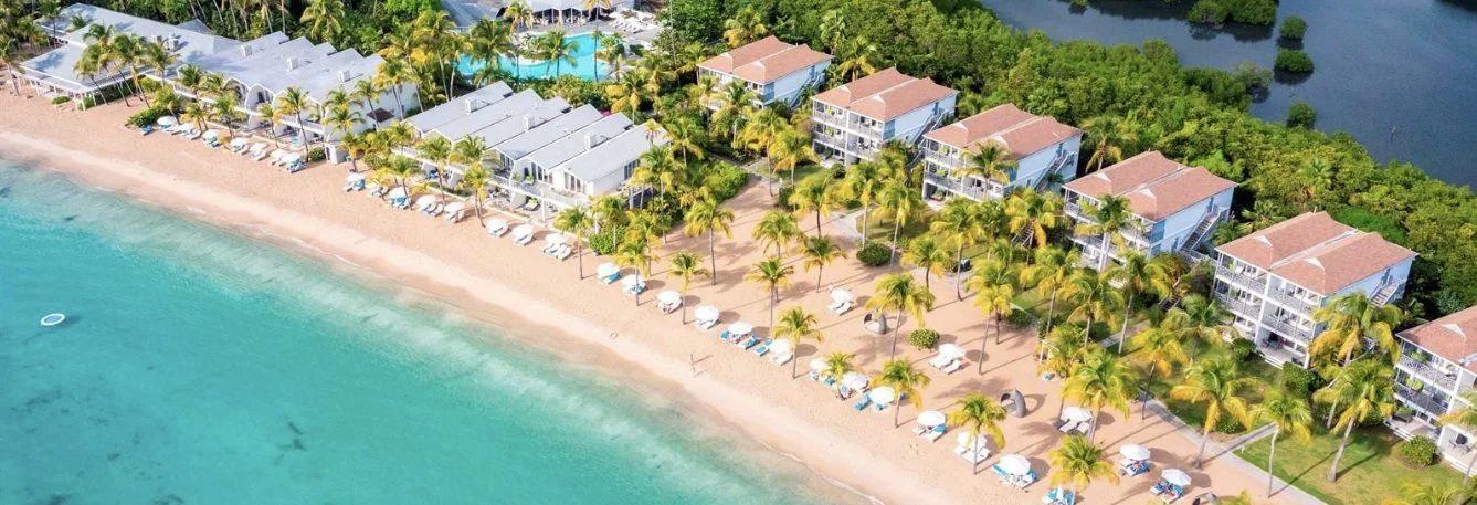 The beach from the air