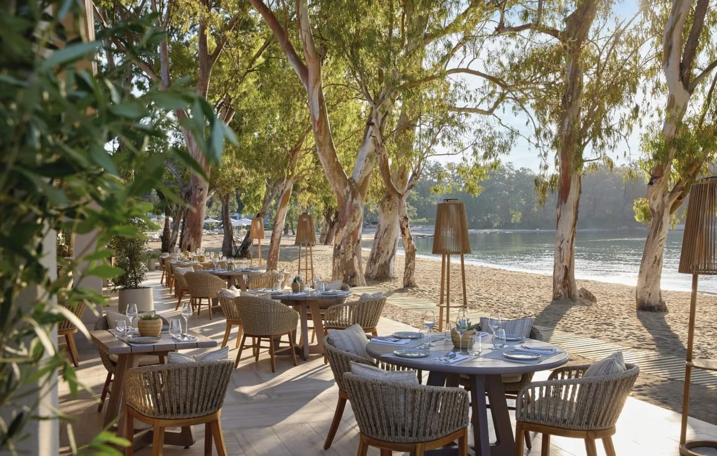 Tables and woven chairs beneath tall trees beside the beach at Fresco, Ikos Odisia