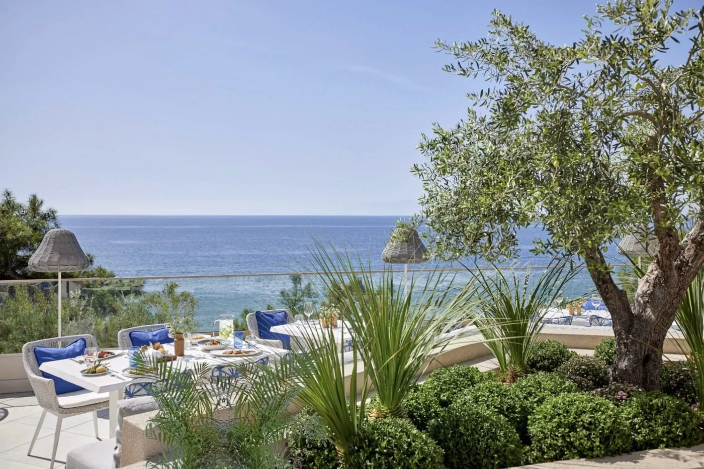 Tables with blue cushions under an olive tree on the terrace at Ouzo, overlooking the sea