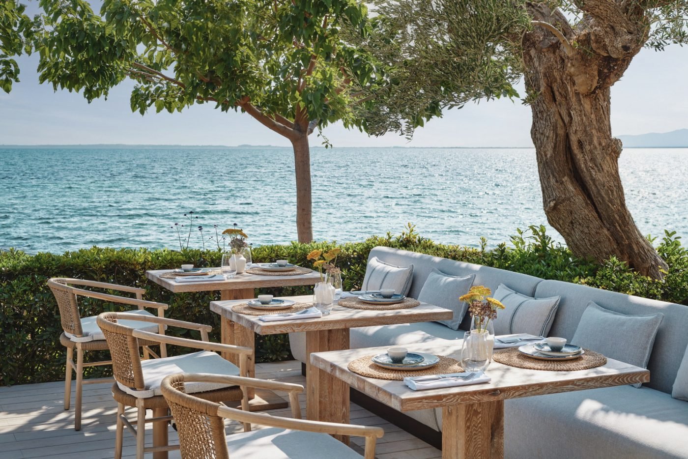Tables set beneath olive trees on the terrace at Ouzo, right beside the sea