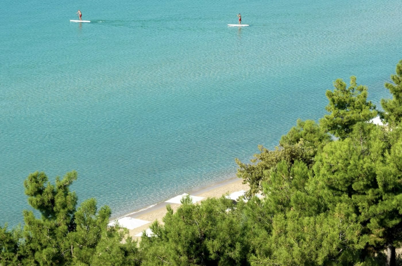 Two paddleboarders on calm turquoise water below the pine trees and beach at Ikos Oceania