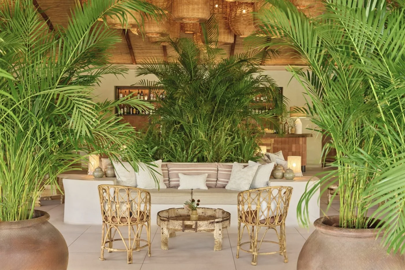 A bar lounge with rattan chairs, cushioned banquettes and tall potted palms