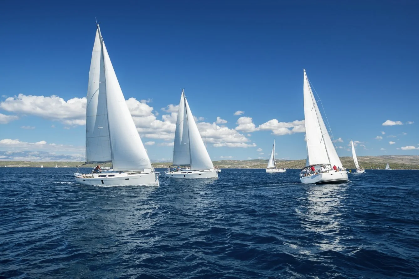 Yachts under full sail on a bright day