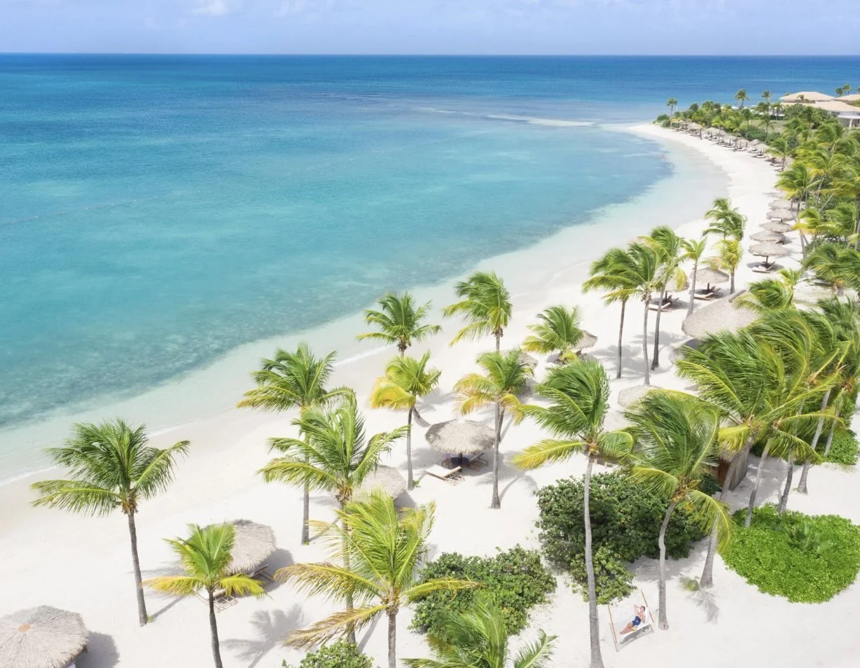 Palm-lined beach at Jumby Bay Island