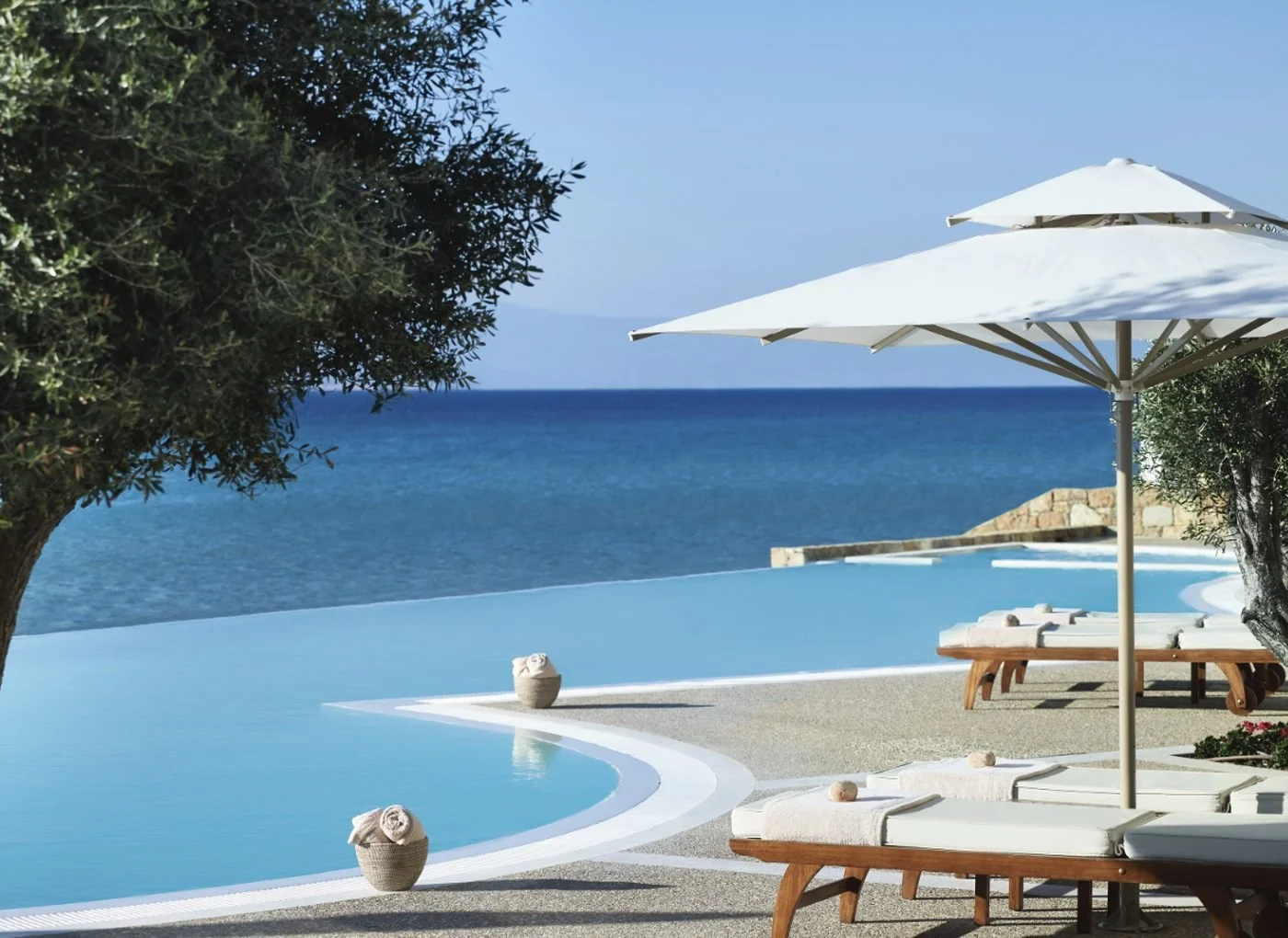 The infinity pool at Sani Beach under an olive tree, with sun loungers, a parasol and the deep blue Aegean beyond