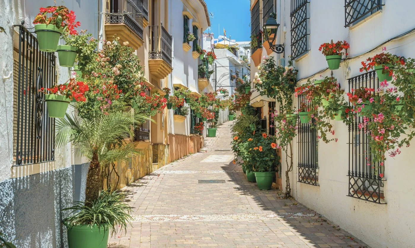 A whitewashed street in Estepona's old town lined with green flowerpots full of geraniums