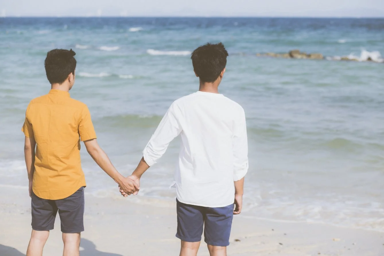 Two men holding hands on the beach, looking out to sea