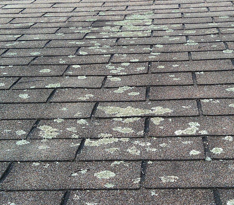Lichen or mold on roof