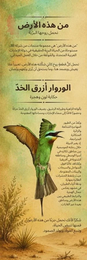 Blue-cheeked Bee-eater card