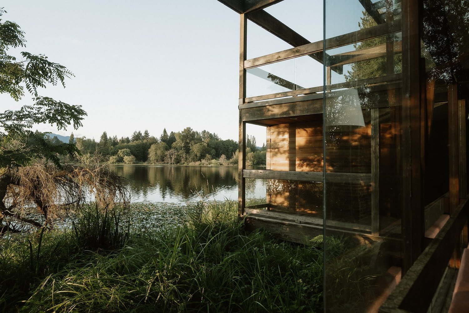 A modernist timber and glass house set among trees at the edge of a still lake