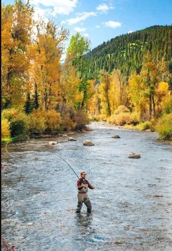 Fly-fishing on Rock Creek