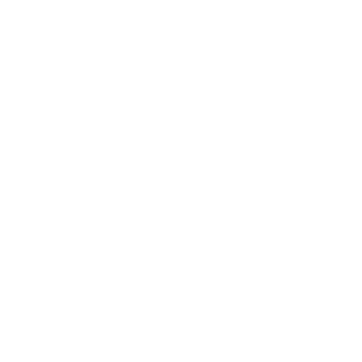 seo icon