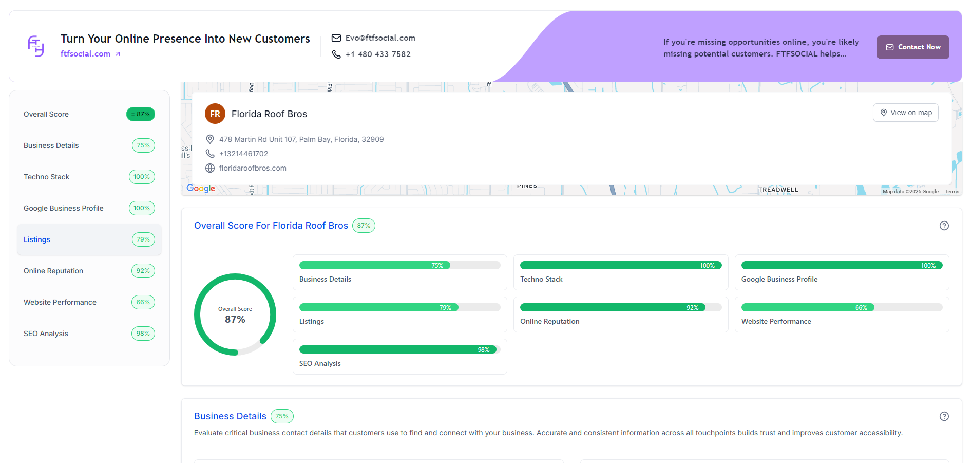 Online business audit report preview