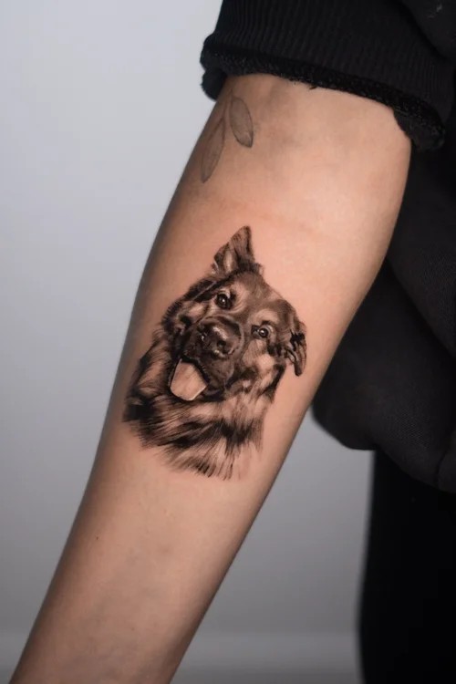 German shepherd portrait tattoo UK