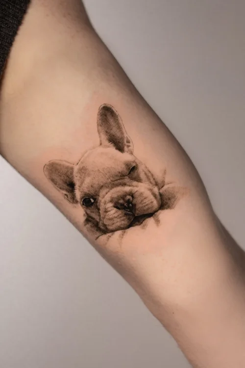Small dog portrait tattoo UK