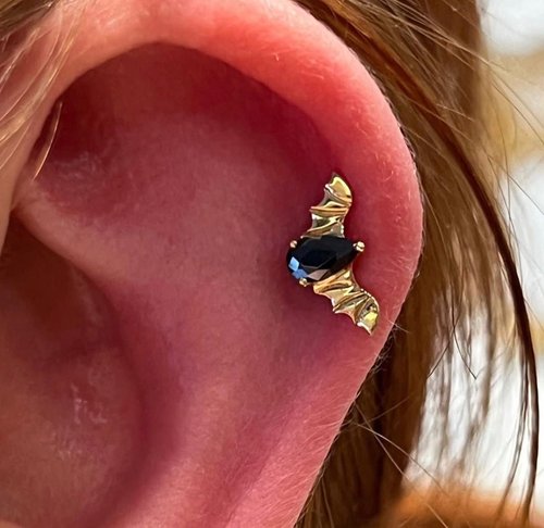 Helix piercing in Hereford by Susie